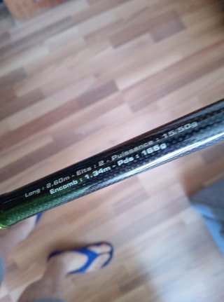 Caña de Spinning Eging