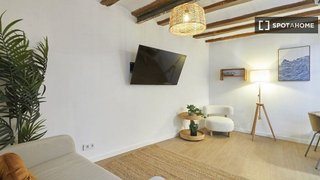 Piso en alquiler en Sant Pere, Santa Caterina i la Ribera en Barcelona - Imagen 27