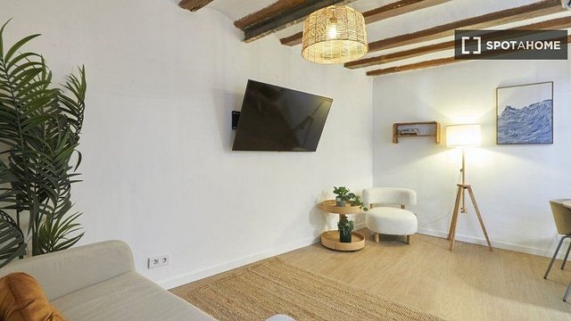Piso en alquiler en Sant Pere, Santa Caterina i la Ribera en Barcelona - Imagen 8