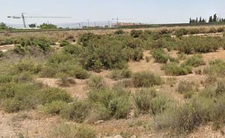 Terreno en venta en Totana