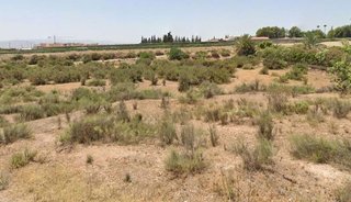 Terreno en venta en Totana