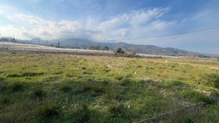 Terreno en venta en Totana