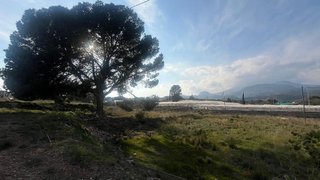 Terreno en venta en Totana