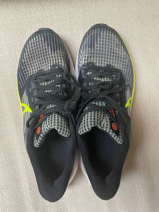Nike Air Zoom Pegasus 39 Negro/Verde