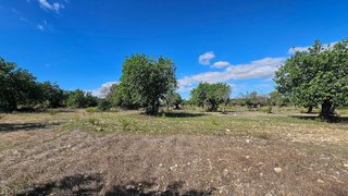 Solar en venta en Felanitx