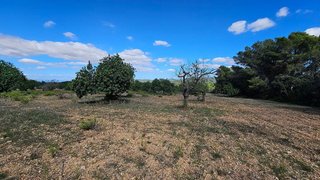 Solar en venta en Felanitx