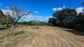 Solar en venta en Felanitx