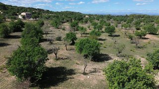 Solar en venta en Felanitx