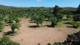 Solar en venta en Felanitx