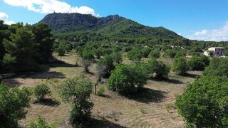 Solar en venta en Felanitx