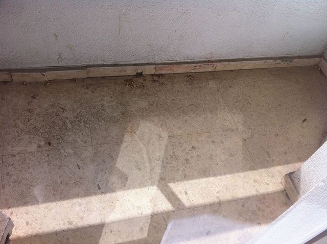 Piso en alquiler en La Carrasca en Valencia - Imagen 12