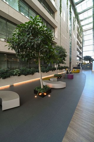 Oficina en alquiler en Sanchinarro en Madrid - Imagen 25