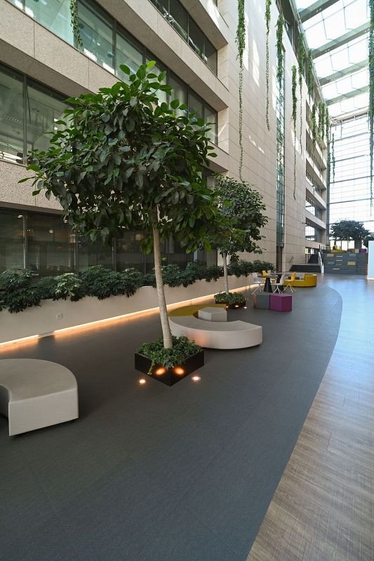 Oficina en alquiler en Sanchinarro en Madrid - Imagen 10