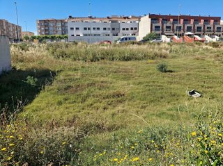 Terreno en venta en Onda