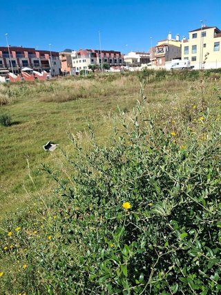 Terreno en venta en Onda