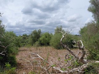 Terreno en venta en Llubí