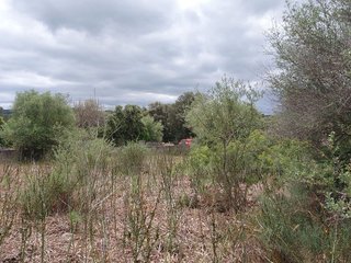 Terreno en venta en Llubí