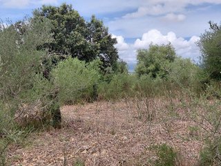 Terreno en venta en Llubí