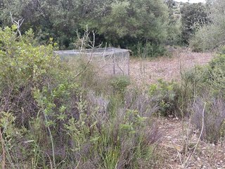 Terreno en venta en Llubí