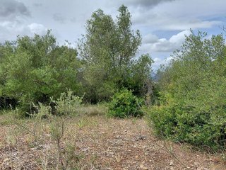 Terreno en venta en Llubí