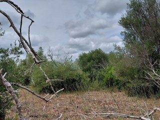 Terreno en venta en Llubí