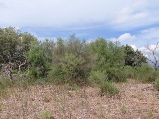Terreno en venta en Llubí
