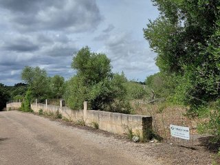 Terreno en venta en Llubí