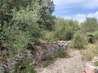 Terreno en venta en Llubí