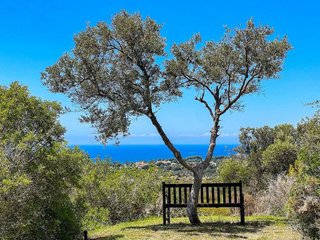 Chalet en alquiler en Elviria en Marbella