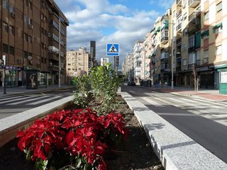 Ático en alquiler en Camino de Ronda - Rosaleda en Granada