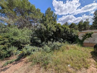 Terreno en venta en Monteamor - La Carrasca - El Peucal en Náquera