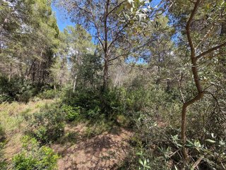 Terreno en venta en Monteamor - La Carrasca - El Peucal en Náquera