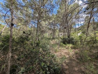 Terreno en venta en Monteamor - La Carrasca - El Peucal en Náquera