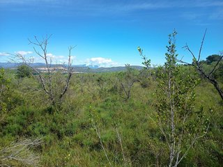 Terreno en venta en Ulldecona