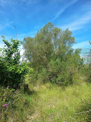 Terreno en venta en Ulldecona