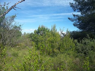 Terreno en venta en Ulldecona