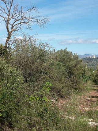 Terreno en venta en Ulldecona