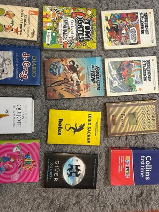 Lote 22 libros infantiles y juveniles