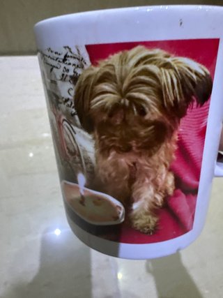 Tazza in ceramica con Shih Tzu