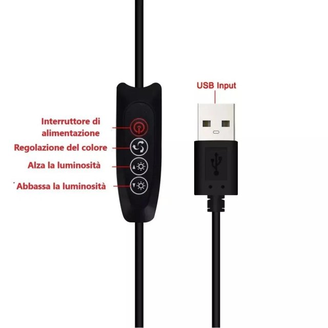 Lampada LED con Lente Ingrandimento