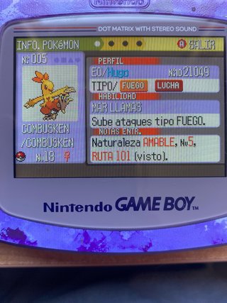 Pokémon Zafiro Game Boy Advance