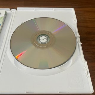 Wii Sports Island Hudson Gioco