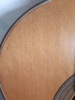 Guitarra Concierto: Arce y Tapa de Abeto.