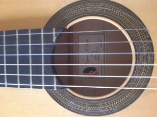 Guitarra Concierto: Arce y Tapa de Abeto.