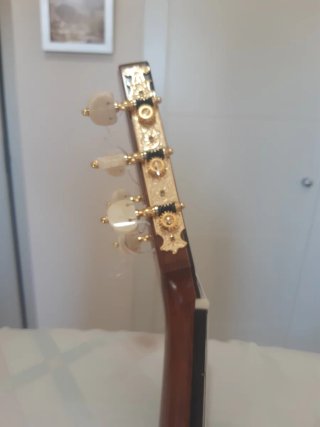 Guitarra Concierto: Arce y Tapa de Abeto.