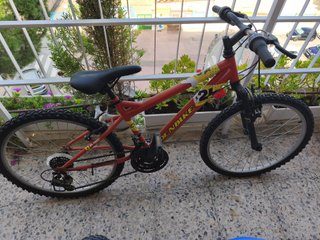 Bicicleta Infantil DENBIKE 24