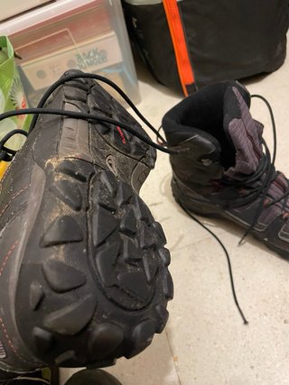 Botas Trekking Salomon Negras/Moradas