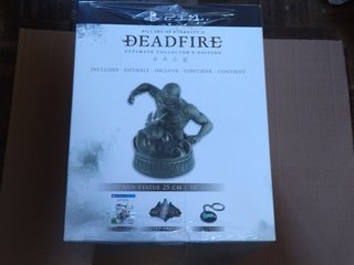 PS4 Pillars of Eternity II: Edición Coleccionista