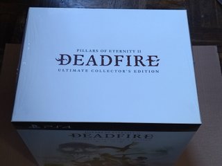 PS4 Pillars of Eternity II: Edición Coleccionista