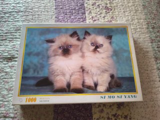 Puzzle 1000 piezas gatitos SI MO SI YANG